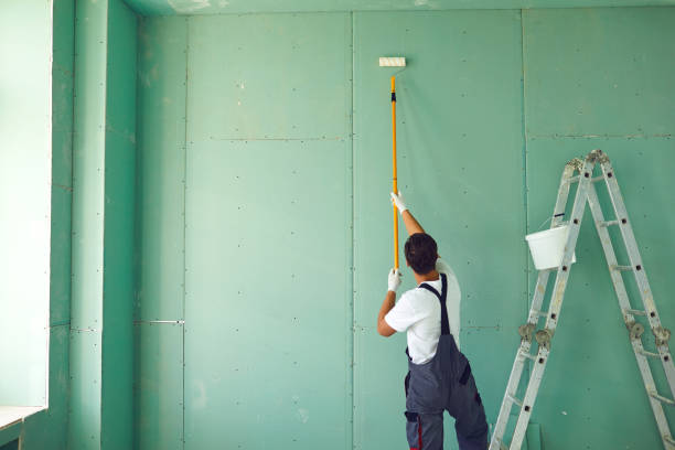 Best Commercial Painting Services  in Wallace, ID